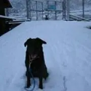 みんきち