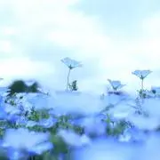 iharの画像