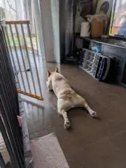 田中家