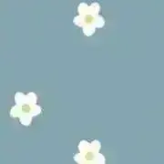 PoPUの画像