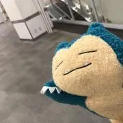 ぱーまちゃんの画像