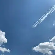 ソラチの画像