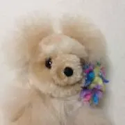 yon2☆可愛い服着てハッピーになろう♪の画像