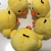 プンの画像