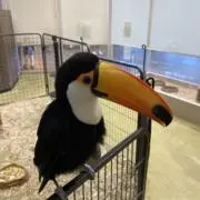 なおの画像