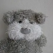 Mayu
