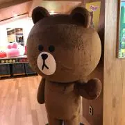 ちょこの画像