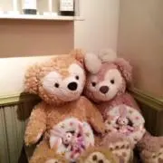 ❄︎ゆき❄︎の画像