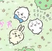 くまの画像