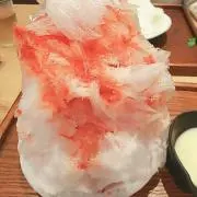 せいの画像