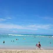 もっぷーの画像
