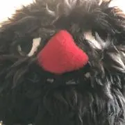 スナッフィーの画像