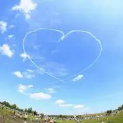 ひまわりの画像