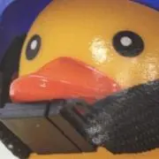 ゆっくりあひるちゃんの画像