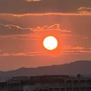 小澤征爾 サイン色紙 - メルカリ