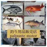 palpuntemotorの画像
