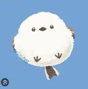 minyの画像