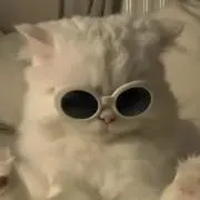 ふらわー※プロフ必読の画像