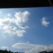 さくらしの画像