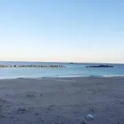 yの画像