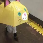 コージー
