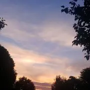 ムォの画像