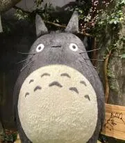 seimomo☆