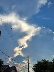 まる。プロフありの画像
