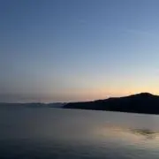 らんの画像