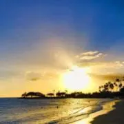 sunの画像