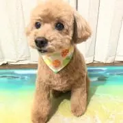 まち