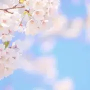 ハッタンの画像