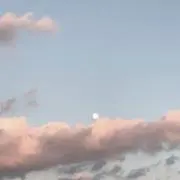 shimahoの画像