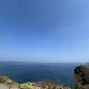 やんぴんの画像