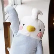 フモフモさんの画像