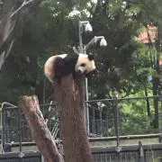 ひろみ