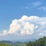 kon tomiの画像