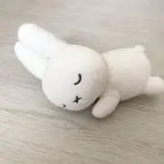 うー。断捨離のため出品中の画像