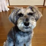 しんちゃん
