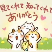 にゃん太の画像