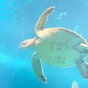 hanahana875の画像