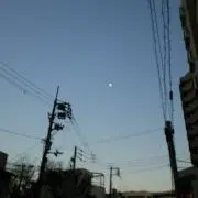 サクラモチの画像