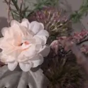 きらら