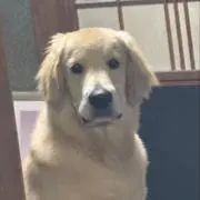 〜風花〜