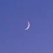 ユエの画像
