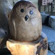 ずいさんの画像