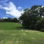 mashimoの画像
