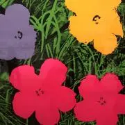 Blueberryの画像
