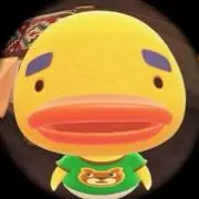 たくあんの画像