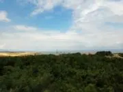 k*の画像